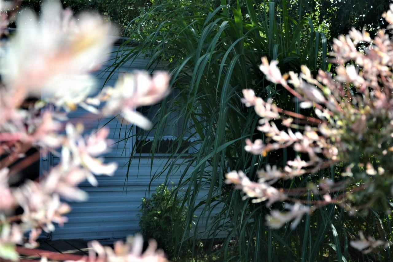 Domki Holenderskie ,, Latajacy Holender" Debki Exterior photo